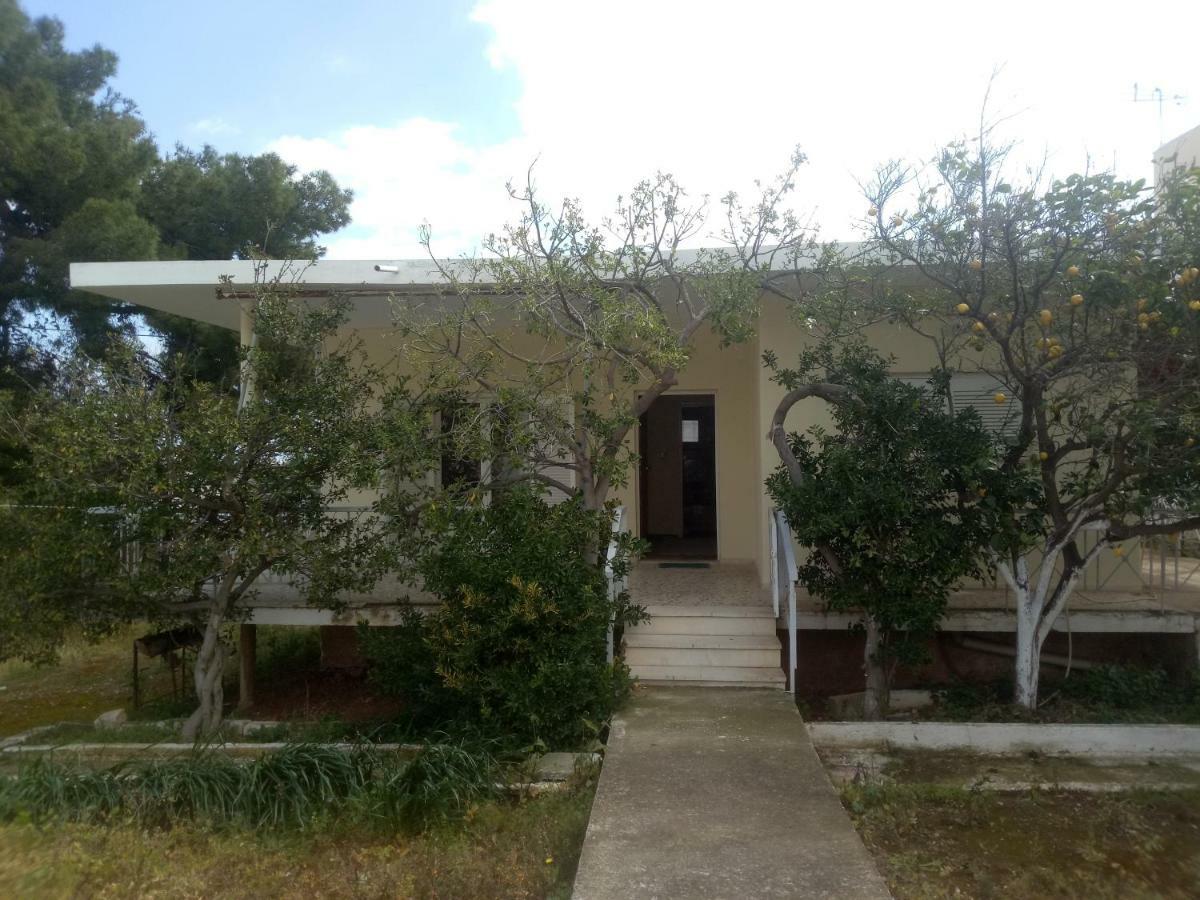 Vangelis House Near Athens Airport Artemida  Buitenkant foto